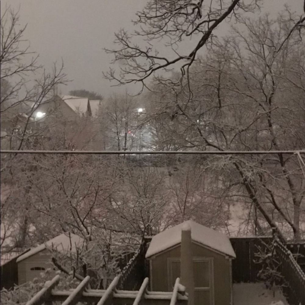 Meet your Posher, Lauryn